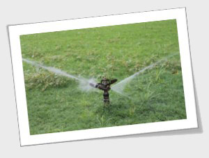 Richardson Sprinkler Repair