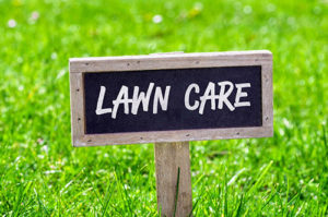 lawn care professionals